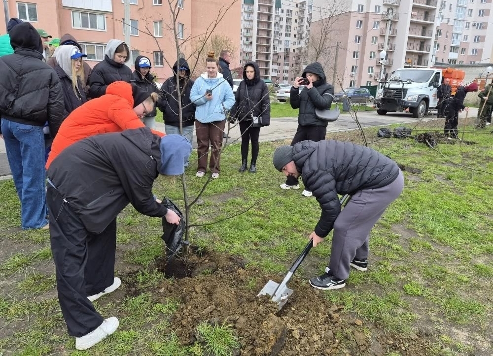 В память о героях, во благо города: на акции «Сад памяти»  саратовцы сажают новые деревья